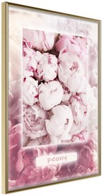 Αφίσα - Scent of Peonies - 20x30 - Χρυσό - Χωρίς πασπαρτού