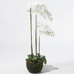 Τεχνητό Φυτό Ορχιδέα Phalaenopsis 0401-6 110cm White Supergreens Ύφασμα,Πλαστικό
