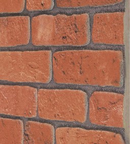 vidaXL Πάνελ τοίχου 10 pcs Τερακότα 100 x 50 cm Αφρός EPS