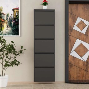 Παπουτσοθήκη Ανθρακί ABREPRI 50x15x169