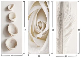 ΠΙΝΑΚΑΣ ΤΡΙΠΤΥΧΟ MDF NATURAL ELEMENTS HM7204.05 60X0,3X50 εκ.