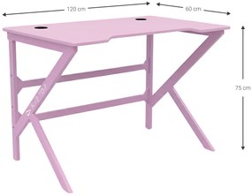 Γραφείο Gaming Raptor Crimson-Roz