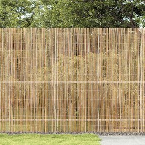 vidaXL Φράχτης Μπαμπού Φυσικό 400 x 150 cm Μπαμπού