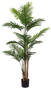 Τεχνητό Δέντρο Αρέκα 6460-6 75x75x160cm Green Supergreens Polyethylene