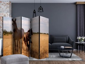 Διαχωριστικό με 5 τμήματα - Horse and foal II [Room Dividers]