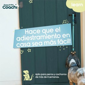 Λουρί Σκύλου Coachi