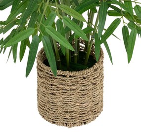 Φυτό σε γλάστρα Belica pakoworld Φ45x100εκ