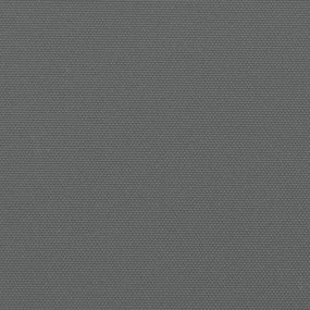 Σκίαστρο Πλαϊνό Συρόμενο Ανθρακί 140 x 300 εκ. - Ανθρακί