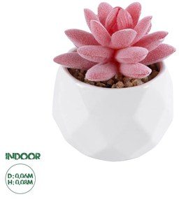 Artificial Garden SUCCULENT SEDEVERIA 20981 Διακοσμητικό Φυτό Παχύφυτο Σεντεβέρια Υ8cm