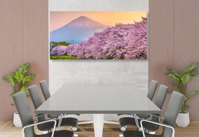 Εικόνα όμορφη Ιαπωνία - 100x50