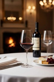 Wine Glass Set (6 Pieces) PB-440080 Transparent