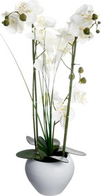Τεχνητό Λουλούδι Σε Γλάστρα (Φ47x56) A-S White Orchid 136510B