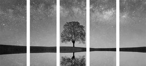 Εικόνα 5 τμημάτων έναστρος ουρανός πάνω από μοναχικό δέντρο σε ασπρόμαυρο - 100x50