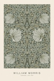 Αναπαραγωγή Pimpernel (Special Edition Classic Vintage Pattern) - William Morris, (26.7 x 40 cm)