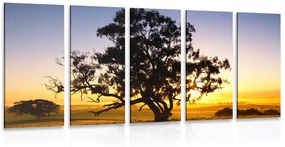 Εικόνα 5 μερών μοναχικό δέντρο στο ηλιοβασίλεμα