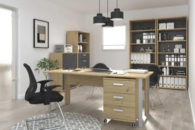 Βιβλιοθήκη Svenson-Ύψος: 209 εκ.