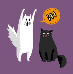 Εικονογράφηση Cute halloween ghost and black cat, Alhontess