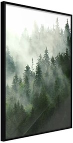 Αφίσα - Steaming Forest - 20x30 - Μαύρο - Χωρίς πασπαρτού