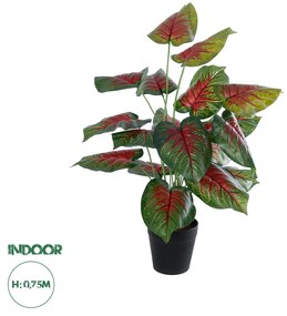 GloboStar® Artificial Garden CALADIUM MIX 20911 Διακοσμητικό Φυτό Καλάντιουμ Υ75cm