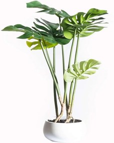Τεχνητό Φυτό Μονστέρα 8550-6 40x40x65cm Green Supergreens Polyethylene