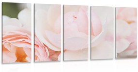 5 μέρη εικόνα στίγματα τριαντάφυλλα - 100x50