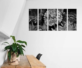 Εικόνα 5 μερών με όμορφα λουλούδια σε ασπρόμαυρο - 100x50