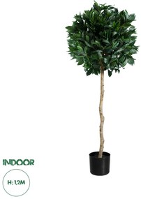 20084 GloboStar® Artificial Garden LAUREL 20084 Τεχνητό Διακοσμητικό Φυτό Δάφνη Υ120cm