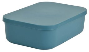 Κουτί Αποθήκευσης (25x17.5x7.6) L-C Emeraude 6RAN838EM