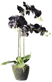 Τεχνητό Φυτό Ορχιδέα Με Βάση Moss 5170-6 39x25x85cm Black Supergreens Πολυαιθυλένιο