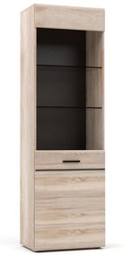 Βιτρίνα Μονόφυλλη Solo 60x41x197cm Sonoma με λεπτομέρειες Wenge - TO-SOLO1WHIGH - TO-SOLO1WHIGH