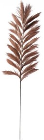 Supergreens Τεχνητό Κλαδί Pampas "Pilosa" Καφέ 120 εκ