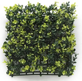 ΠΑΝΕΛ ΦΥΛΛΩΣΙΑΣ BERLIN 50 Χ 50 A003 BUXUS NewPlan