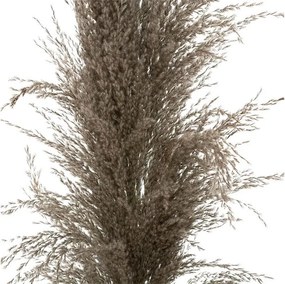 ΤΕΧΝΗΤΆ ΦΥΤΆ BROWN PAMPA X3 H110 179282B