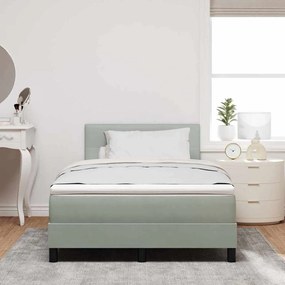 vidaXL Κρεβάτι με ελατήρια Ανοιχτό γκρι 120 x 200 cm Βελούδο