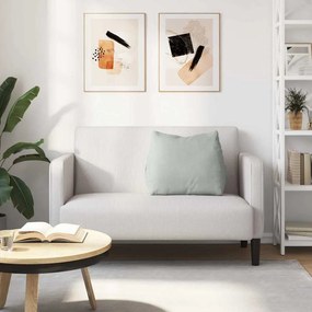 vidaXL Μαξιλάρι Πλάτης Ανοιχτό γκρι 60 x 20 x 50 εκ.