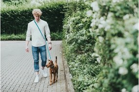 Λουρί Σκύλου Hunter HILO Καφέ (200 cm)