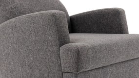 Wing Chair Kana Bergere - Dark Grey Dark Grey