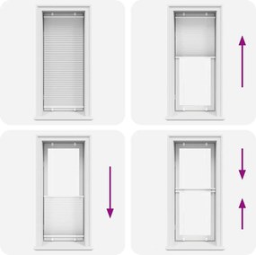 vidaXL Πλισέ περσίδα Λευκό 55x100 cm Πλάτος υφάσματος 54,4 cm