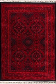 Χαλί (160x230) Pierre Cardin Vienna HY03 Bordo