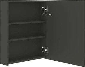 vidaXL Καθρέφτης Μπάνιου με Ντουλάπι / LED Ανθρακί 50 x 14 x 60 εκ.
