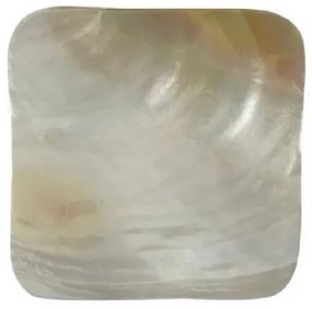 Fruit Plate S Line για χαβιάρι S4084-0091