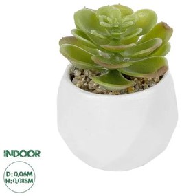 Διακοσμητικό Φυτό Εχεβέρια Artificial Garden 20991 Globostar 20991