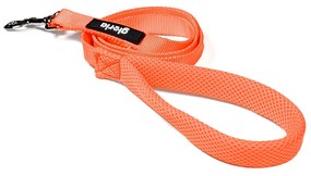 Λουρί Σκύλου Gloria Πορτοκαλί S