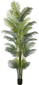 Τεχνητό Δέντρο Αρέκα Hawaii 8080-6 110x300cm Green Supergreens Polyethylene