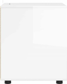 vidaXL Ντουλάπι αποθήκευσης 40 x 48 x 57 εκ Επεξεργασμένο Ξύλο
