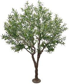 OLIVE TREE NP496_240_UV ΥΨΟΣ 240cm NewPlan