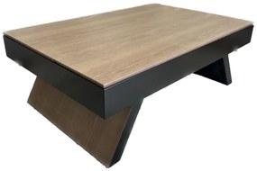 Τραπεζάκι Σαλονιού Darwin 120x80x42