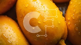 Σετ των 2 Intra Συλλεκτικό Ξύλινο Παζλ Plywood 4mm - Ώριμες κίτρινες μπανάνες με σταγονίδια νερού Σε Ξύλινο Κουτί - Διαστάσεις: 10x10 cm – 25 κομμάτια