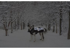 Παλτό Σκύλου Dog Gone Smart Μαύρο 30 cm