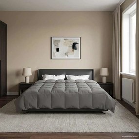 vidaXL Κουβέρτα ολόκληρου του χρόνου 200 x 220 cm